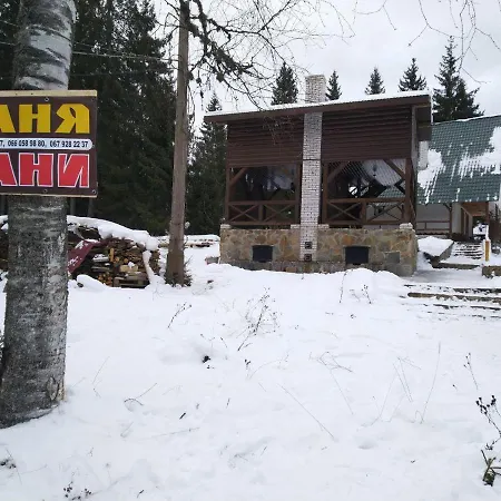 Беркут *