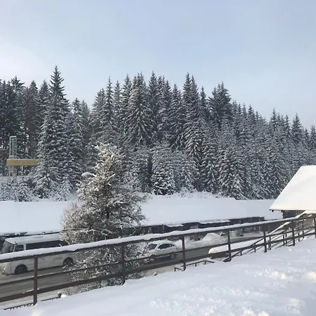 Беркут * Bukovel